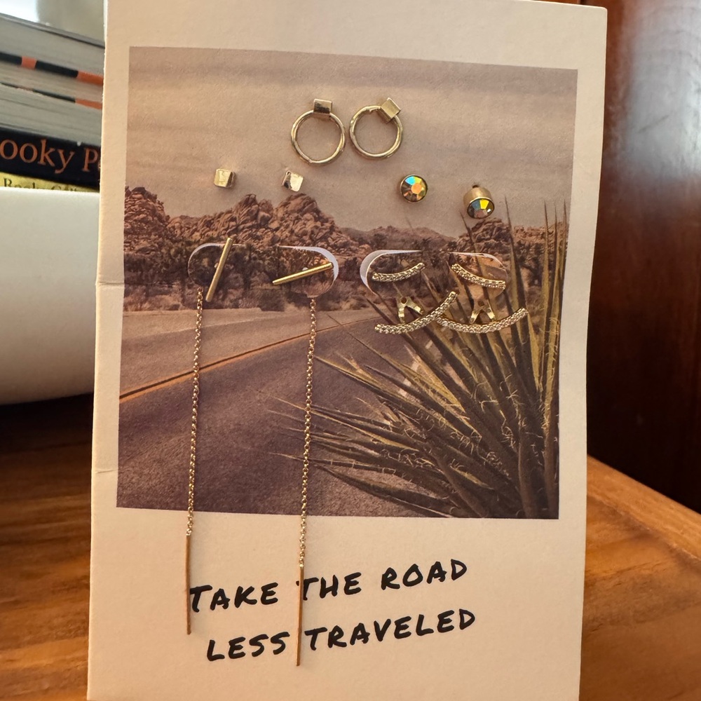 Never worn Anthropologie earring pack